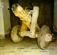 Cannone di fico