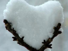 Neve caduta su un ramo (foto di repertorio)