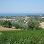 Dalla campagna al mare: Senigallia e l'entroterra