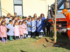 La festa dell'albero 2015 a Ostra, scuola primaria "don A. Morganti"