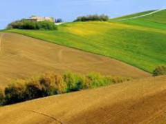 Campagna e interno senigalliese
