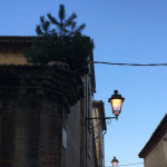 Albero di Natale