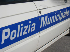 Vigili urbani, Polizia Municipale