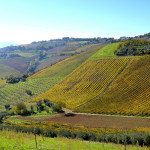 La campagna delle Marche