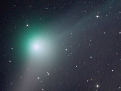 La stella cometa a due code "Catalina"