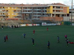 Miciulli Senigallia-Moie Vallesina