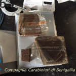 La droga sequestrata dai Carabinieri della Compagnia di Senigallia