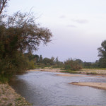 Il fiume Cesano tra Senigallia e Marotta