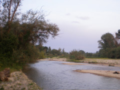 Il fiume Cesano tra Senigallia e Marotta