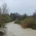 Il fiume Misa a Pianello di Ostra durante il maltempo del 23 marzo 2016