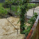 Valmisa, fiume misa 23 marzo