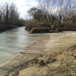 L'area della confluenza tra il fiume Misa e il Nevola