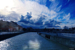 Foto al giorno: Fedele Ruvio