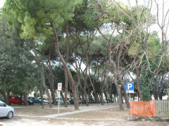 Area verde nei pressi della stazione