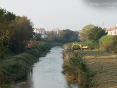 Ruspe al lavoro sul fiume Misa a Senigallia per la manutenzione