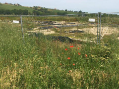 L'area archeologica Le Muracce in stato di abbandono