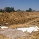 Campagna di scavi nel parco archeologico regionale della Città Romana di Suasa, nel Comune di Castelleone di Suasa, località Pian Volpello