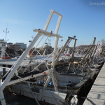 Navi da pesca ferme al porto di Senigallia, darsena sul piazzale Nino Bixio, porto, navi, pesca, vongolare