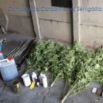 Materiale sequestrato in casa a giovane di Trecastelli