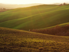 Campagna, colline, Valmisa