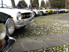 Un raduno di auto Triumph. Foto tratta da tr-register.it