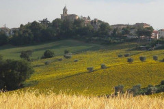 Il Comune di Barbara e il suo territorio nell'entroterra di Senigallia (Valmisa)