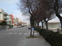 Le tamerici sul lungomare Mameli di Senigallia