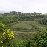 Oasi protetta di San Gaudenzio