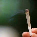 cannabis