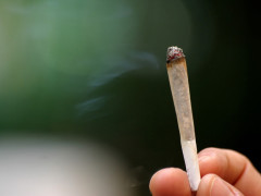 cannabis