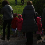Festa dell'albero 2016 a Ostra Vetere