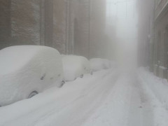 La neve caduta ad Arcevia