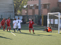 FC Senigallia - Valfoglia
