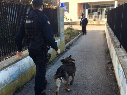 I controlli antidroga presso gli istituti superiori e le scuole di Senigallia