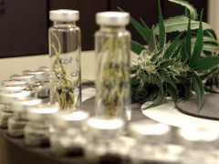 cannabis terapeutica, tilizzo della cannabis a fini terapeutici, farmaci cannabinoidi