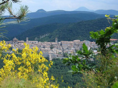 Vista panoramica di Arcevia dal monte Sant'Angelo. Immagine tratta dal sito comunale