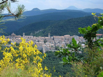 Vista panoramica di Arcevia dal monte Sant'Angelo. Immagine tratta dal sito comunale