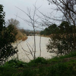 Fiume Misa