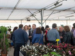 Mostra-evento del Movimento Artistico Introvisione a Casine di Ostra - foto di Luigino Priori