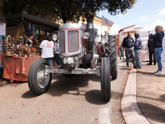 Festa del Cuntadin a Montignano di Senigallia - Trattore storico