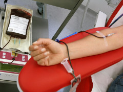 donazione di sangue, donatori, avis, trasfusione, sanità
