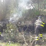 I vigili del fuoco sono intervenuti a Morro d'Alba per un incendio che ha interessato le sterpaglie in località Sant’Amico