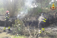 I vigili del fuoco sono intervenuti a Morro d'Alba per un incendio che ha interessato le sterpaglie in località Sant’Amico