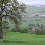 Il panorama e la storica chiesa di Santa Maria in Portuno a Corinaldo