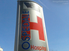 Insegna presso l'ospedale di Senigallia