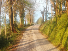 Strada di campagna, passeggiata, camminata