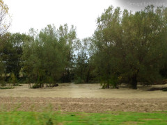 Fiume Nevola in piena a rischio esondazione, visto dalla Corinaldese