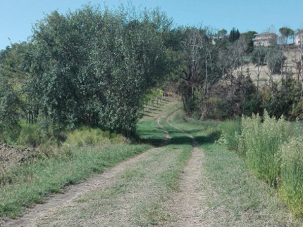 Sentieri, percorsi e passaggi da riscoprire nei borghi delle Marche