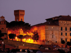 Ostra nella foto di Giuseppe Boschetti