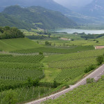 Alto Adige: la strada del vino